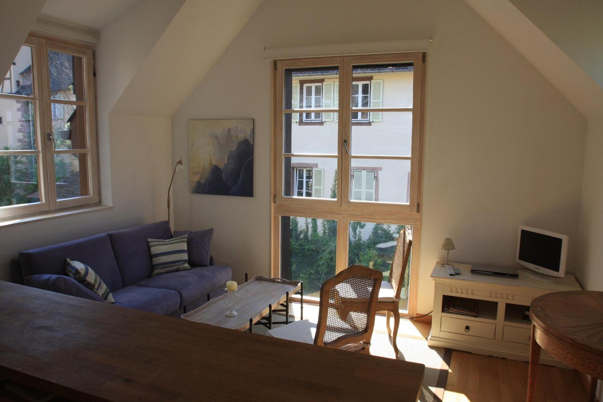 Petite Venise Appartement Colmar Buitenkant foto