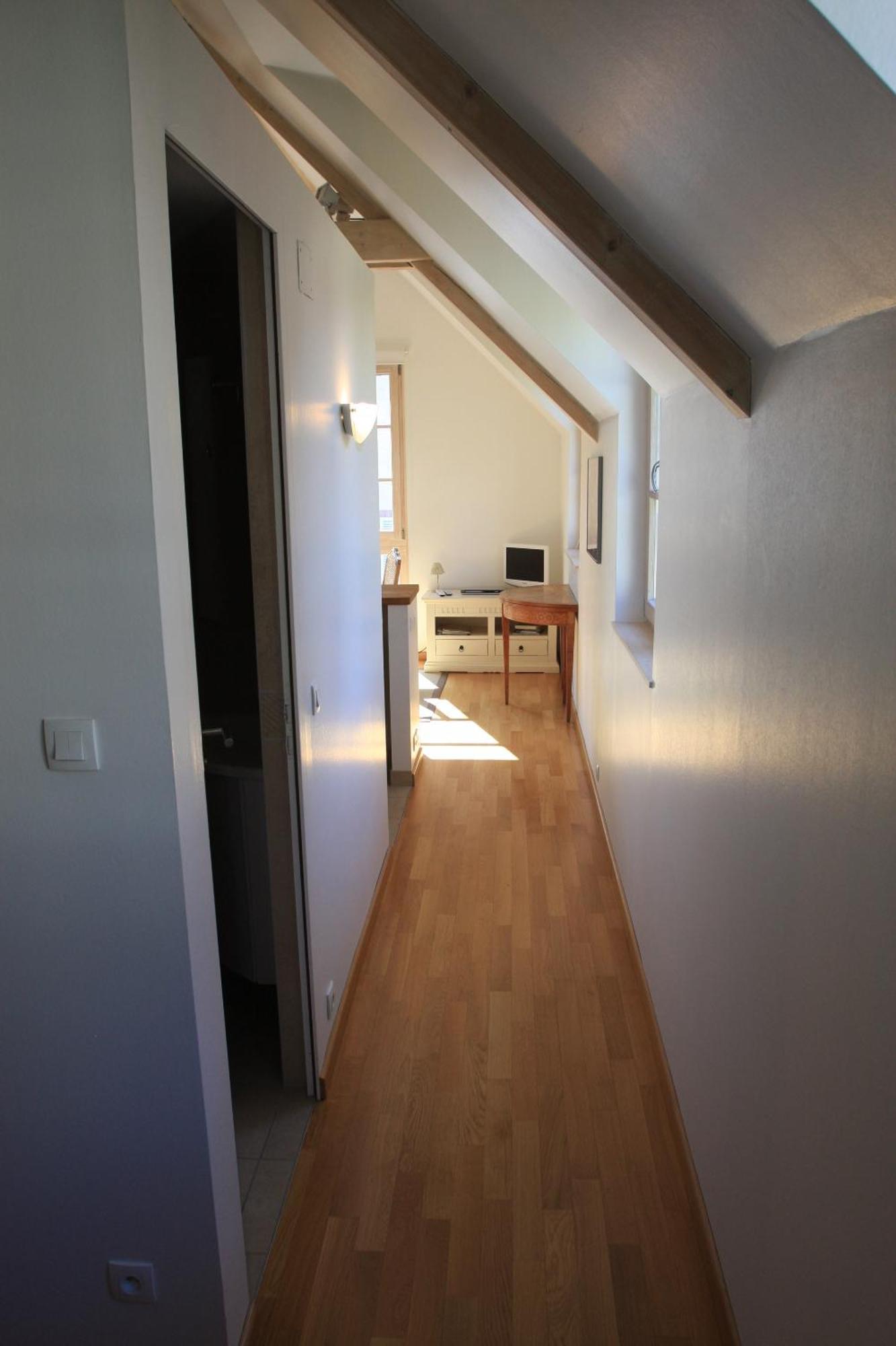 Petite Venise Appartement Colmar Buitenkant foto