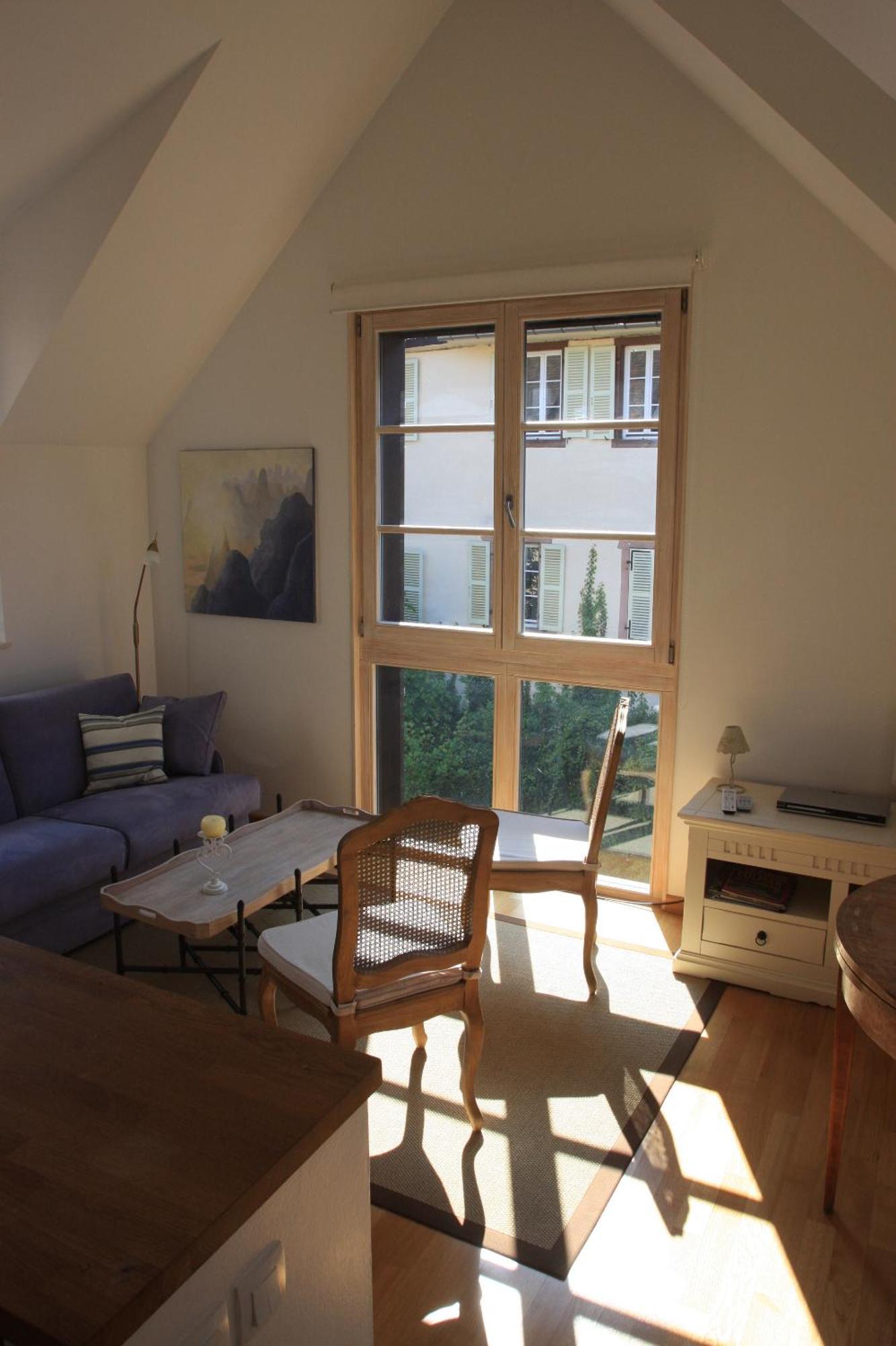 Petite Venise Appartement Colmar Buitenkant foto