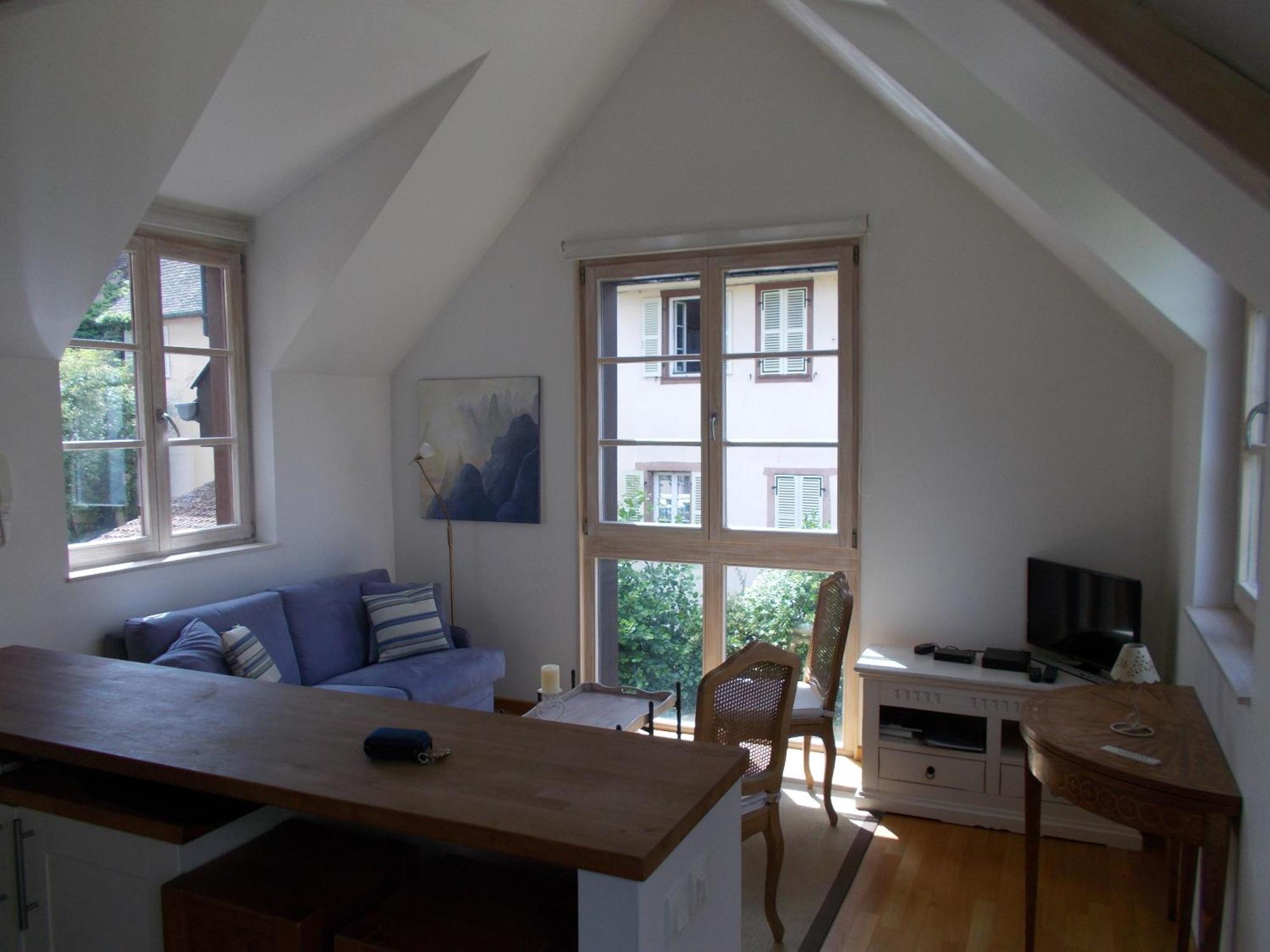 Petite Venise Appartement Colmar Buitenkant foto